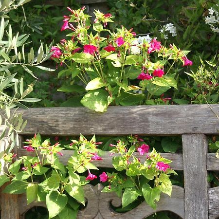 Giverny Cottage แซ็งต์-คูว์ลอมป์ ภายนอก รูปภาพ